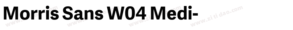 Morris Sans W04 Medi字体转换